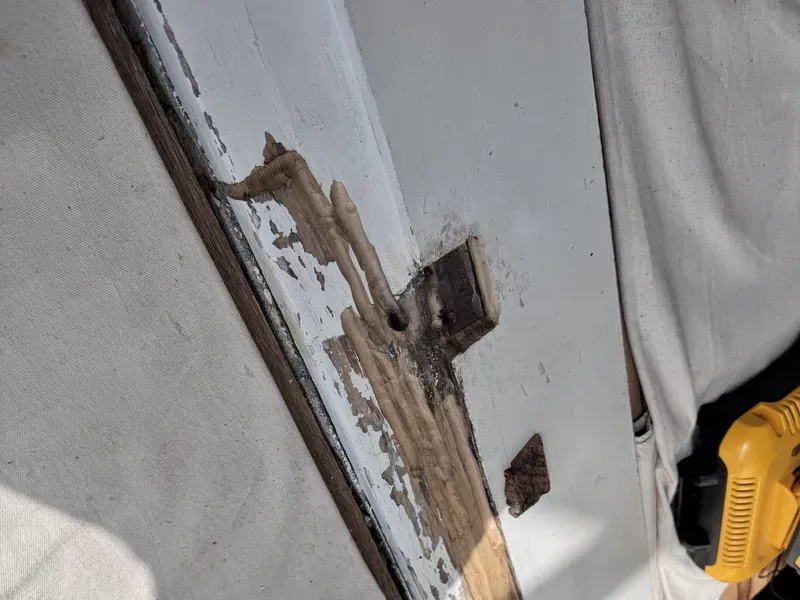 Rot & Timber Restoration