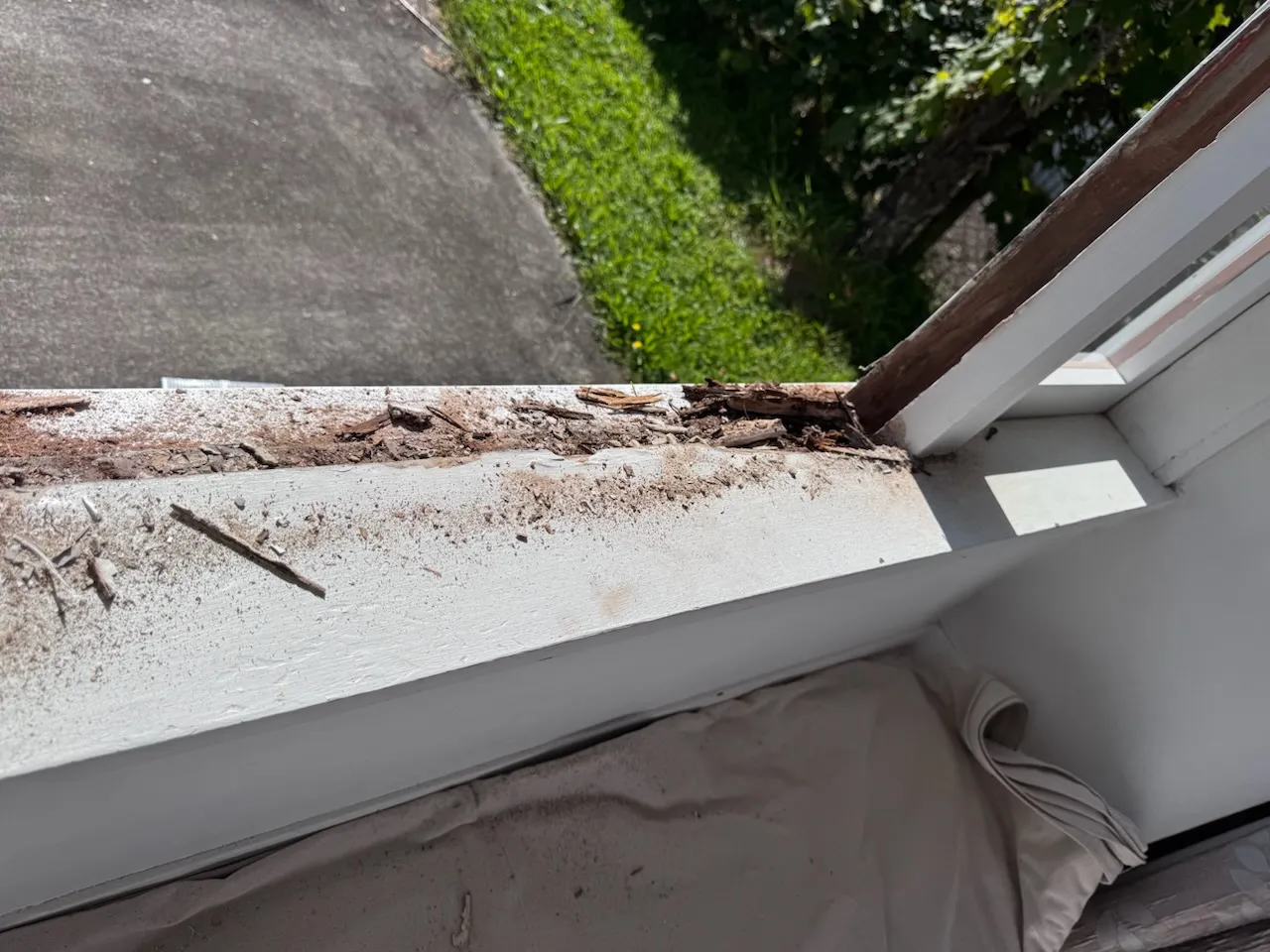 Mt Albert — Joinery Replacement, Sill Replacement (before)