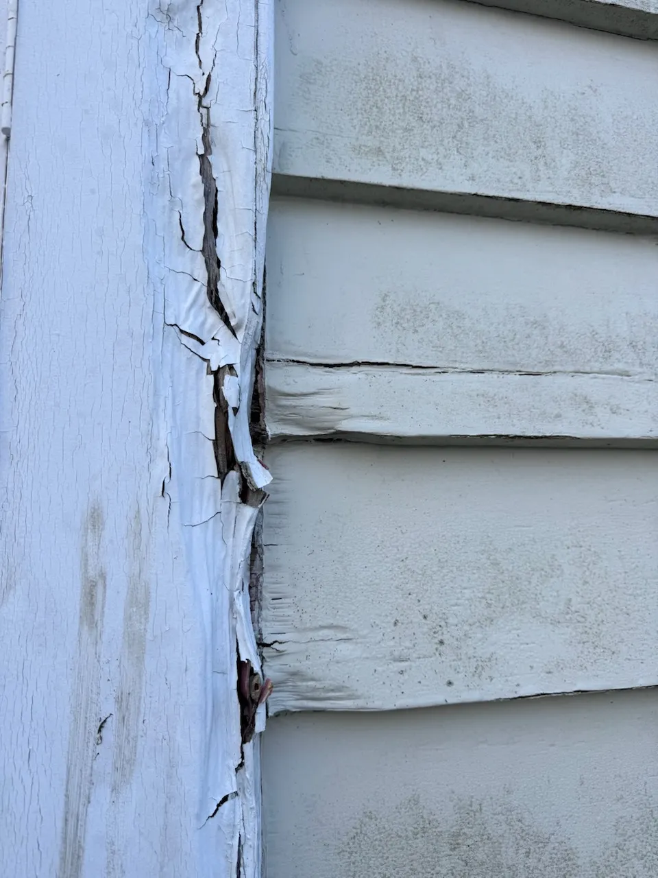 Mt Eden — Facing & Weatherboard Repair, New Hinges (before)