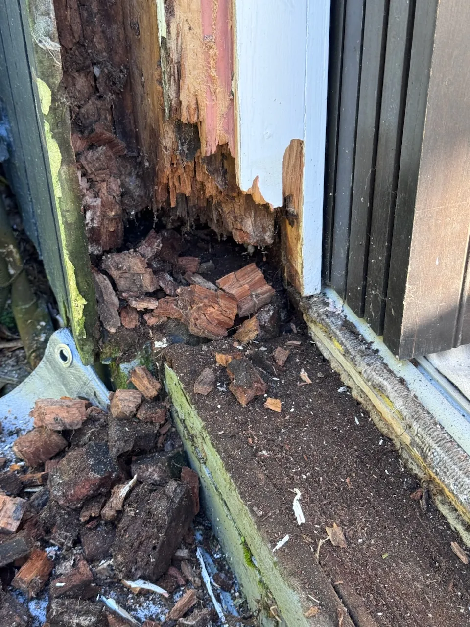 Hillsborough — Joinery Replacement, Sill Replacement, Jamb Repair, Bifold Door Service (before)
