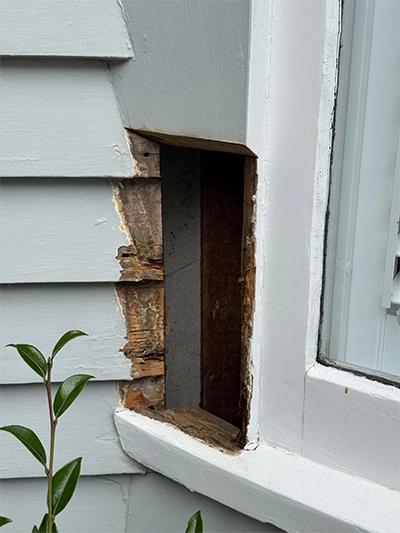 Rot & Timber Restoration